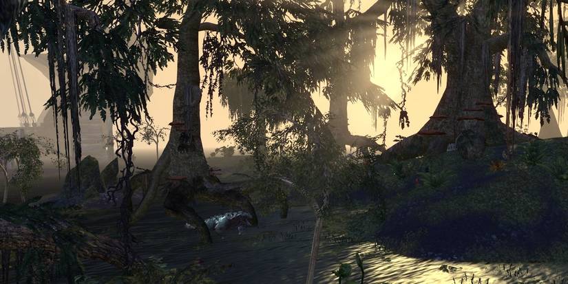 10 Things About Black Marsh Transportation