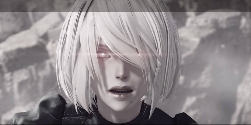 2b virus nier automata