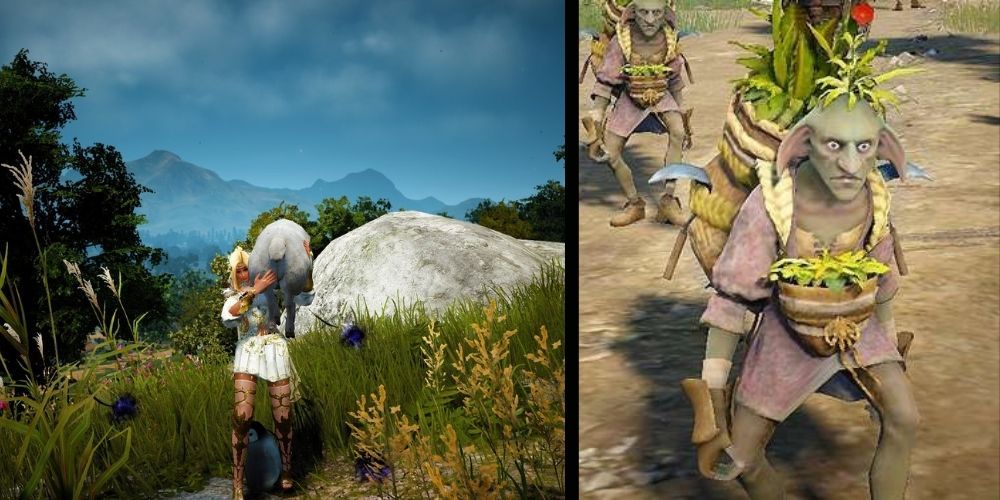 Black Desert Online Gathering Resources