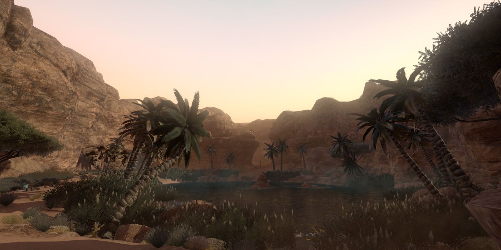 A beautiful Oasis in the desert.