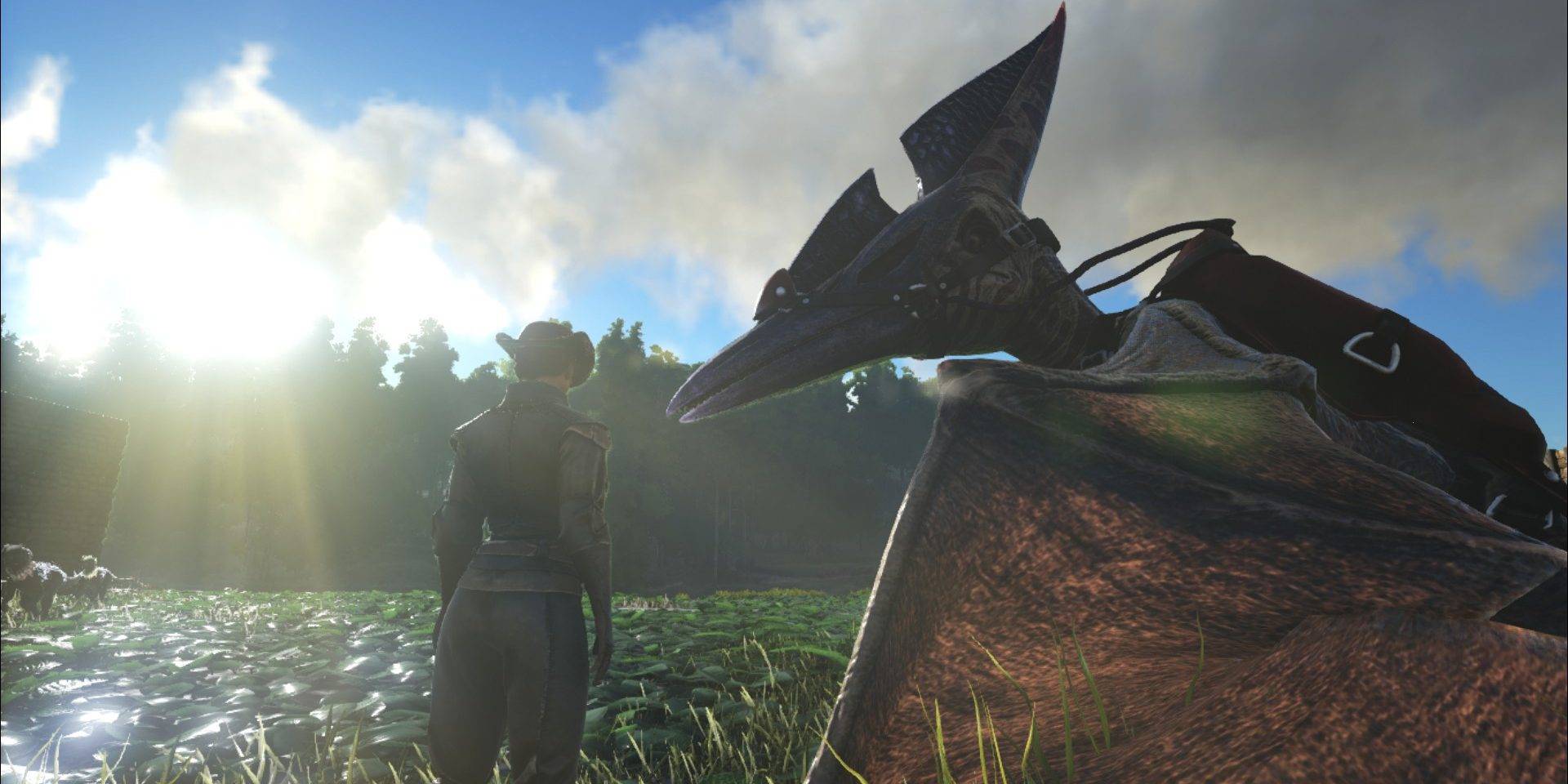 Ark Survival Evolved Everything You Need To Know About The Pteranodon
