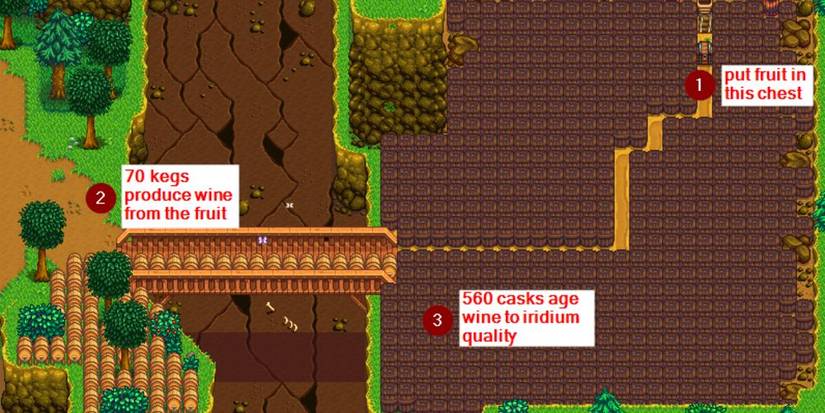 Automate Wine Farm Layout Stardew Valley Best Mods