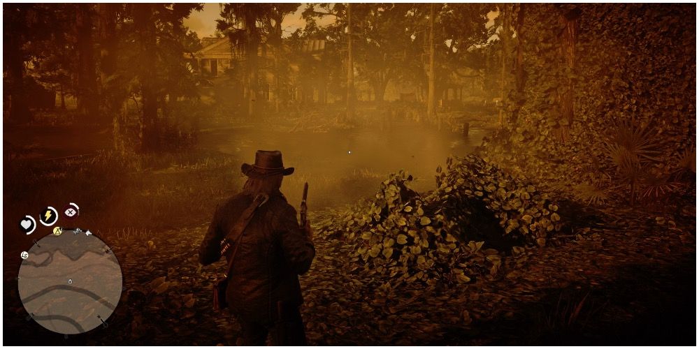 A player looking at the swamps in Dead Eye