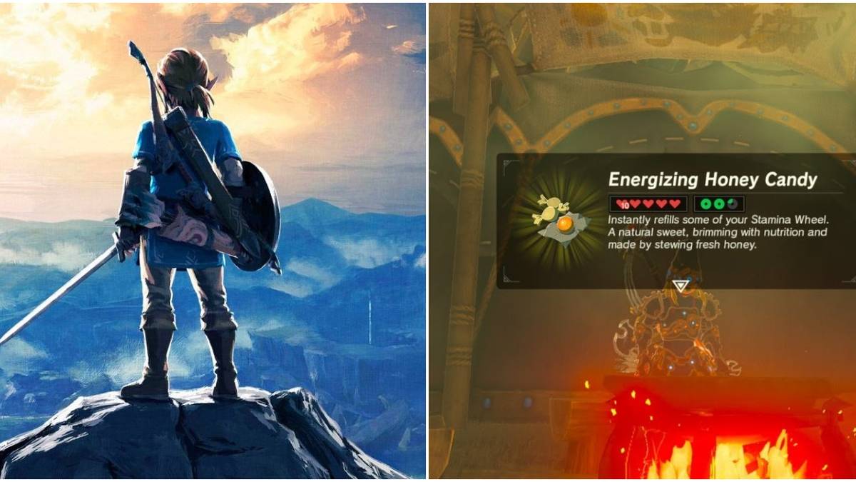 BOTW Courser Bee Honey