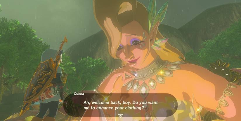 BOTW Great Fairy Fountain