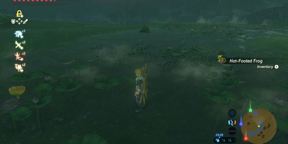 Hot Footed Frog in BOTW