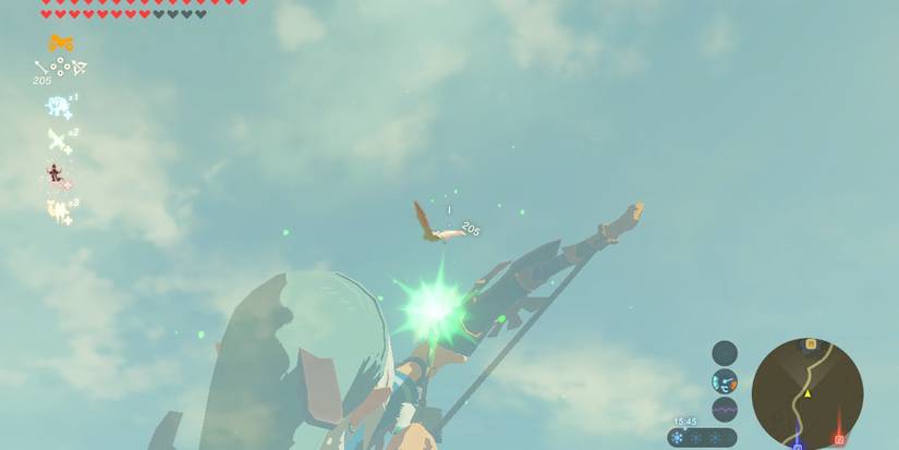 Link hunting birds with Shock Arrows in Breath of the Wild