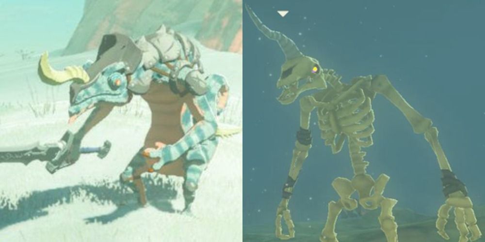 Snow Lizalfos and Stalmoblin in BOTW