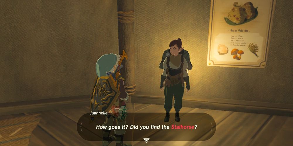 Stalhorse: Pictured! side quest in Breath of the Wild