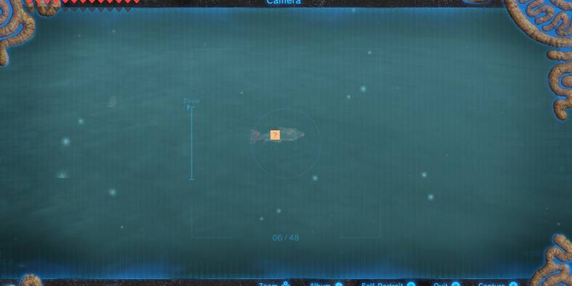 Stealthfin Trout in BOTW