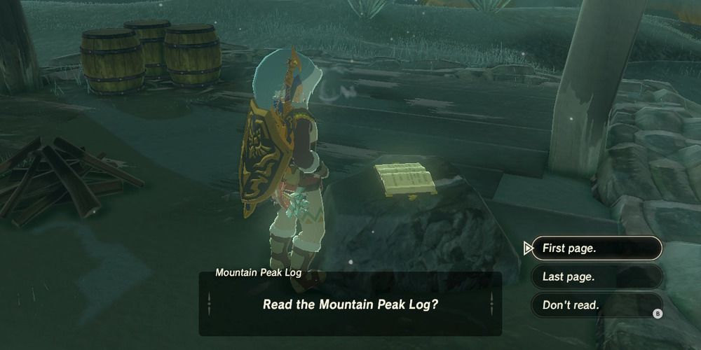 Mountain Peak Cabin journal BOTW