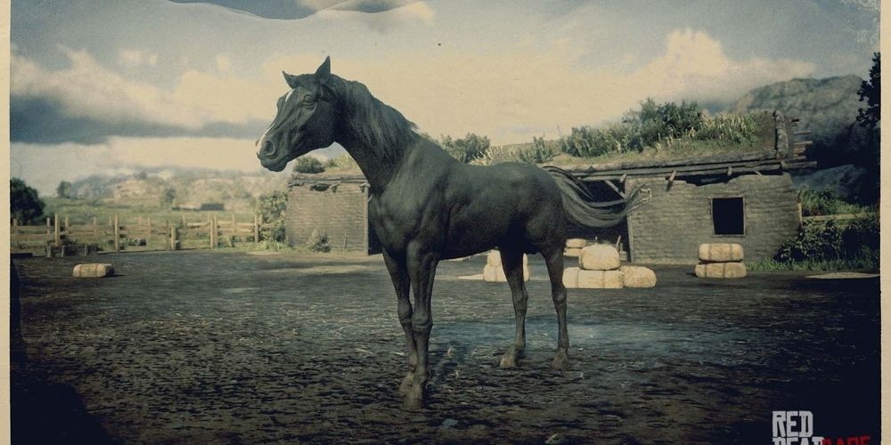 Red Dead Online Black Arabian Horse Screenshot