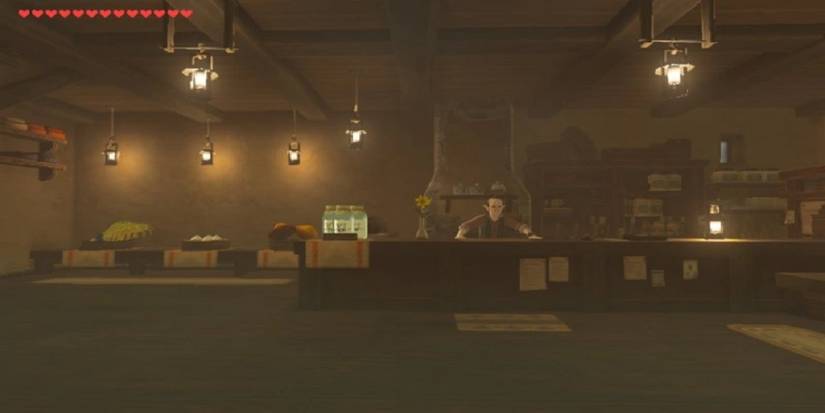 Breath of the Wild East Wind