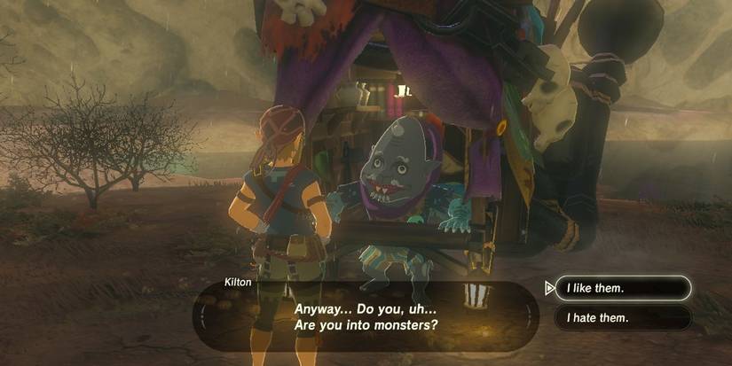 Breath of the Wild Fang and Bone