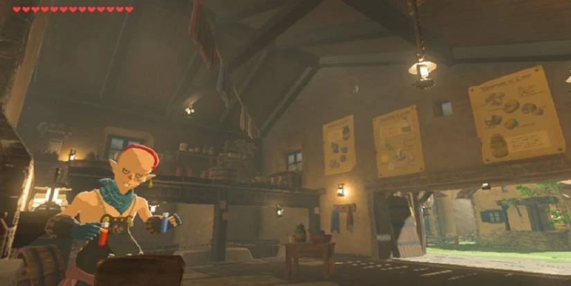 Breath of the Wild Kochi Dye Shop