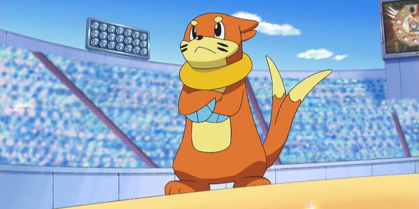 Ash's Buizel in Pokemon anime