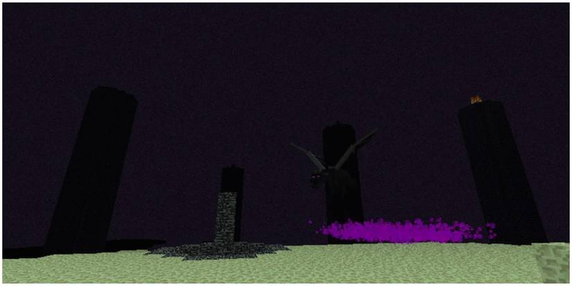 Ender Dragon flying around The End