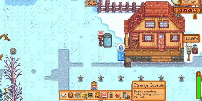 CapsuleStardew
