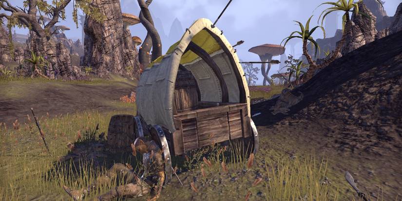 A caravan is ambushed, ESO