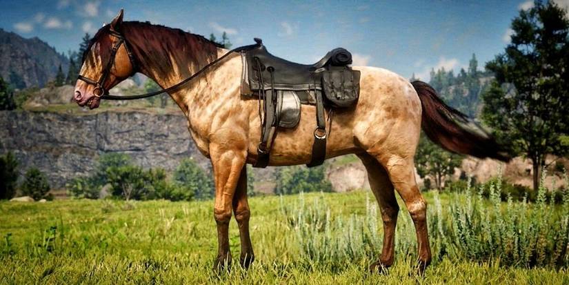 Red Dead Online Amber Champagne Missouri Fox Trotter Horse Screenshot