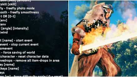 Cheat Valheim
