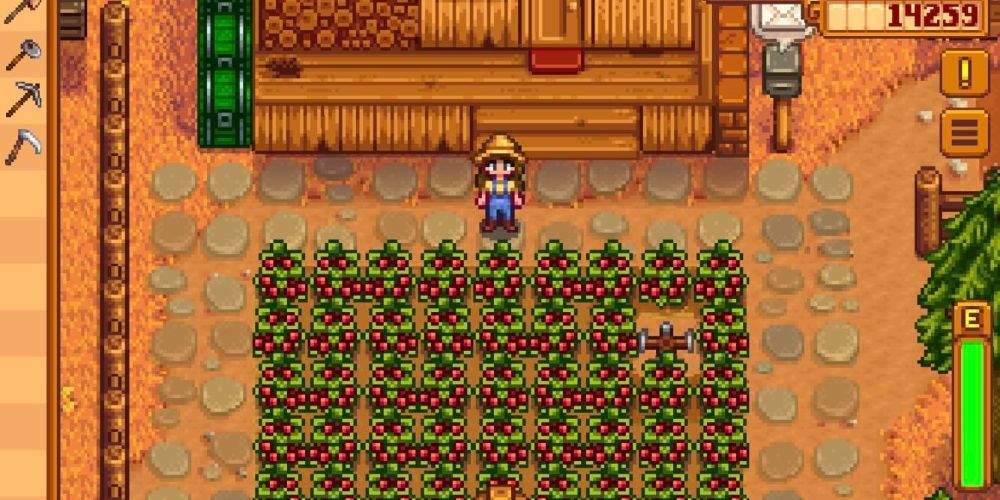 Stardew Valley: 10 Best Items To Sell & Make Money