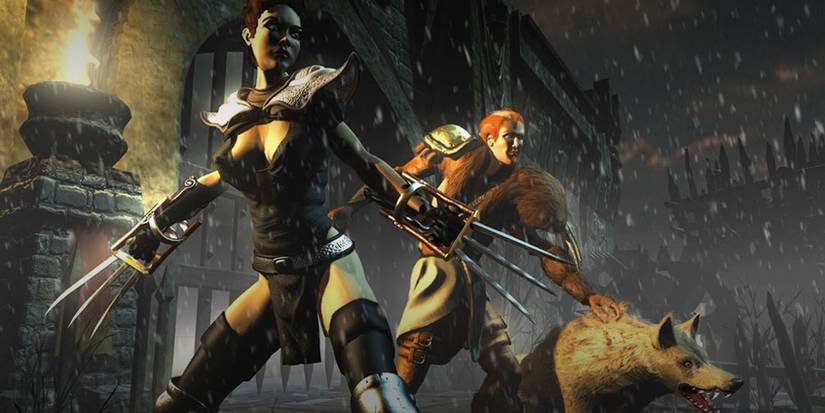 Diablo 2 Assassin Standing With Druid Art