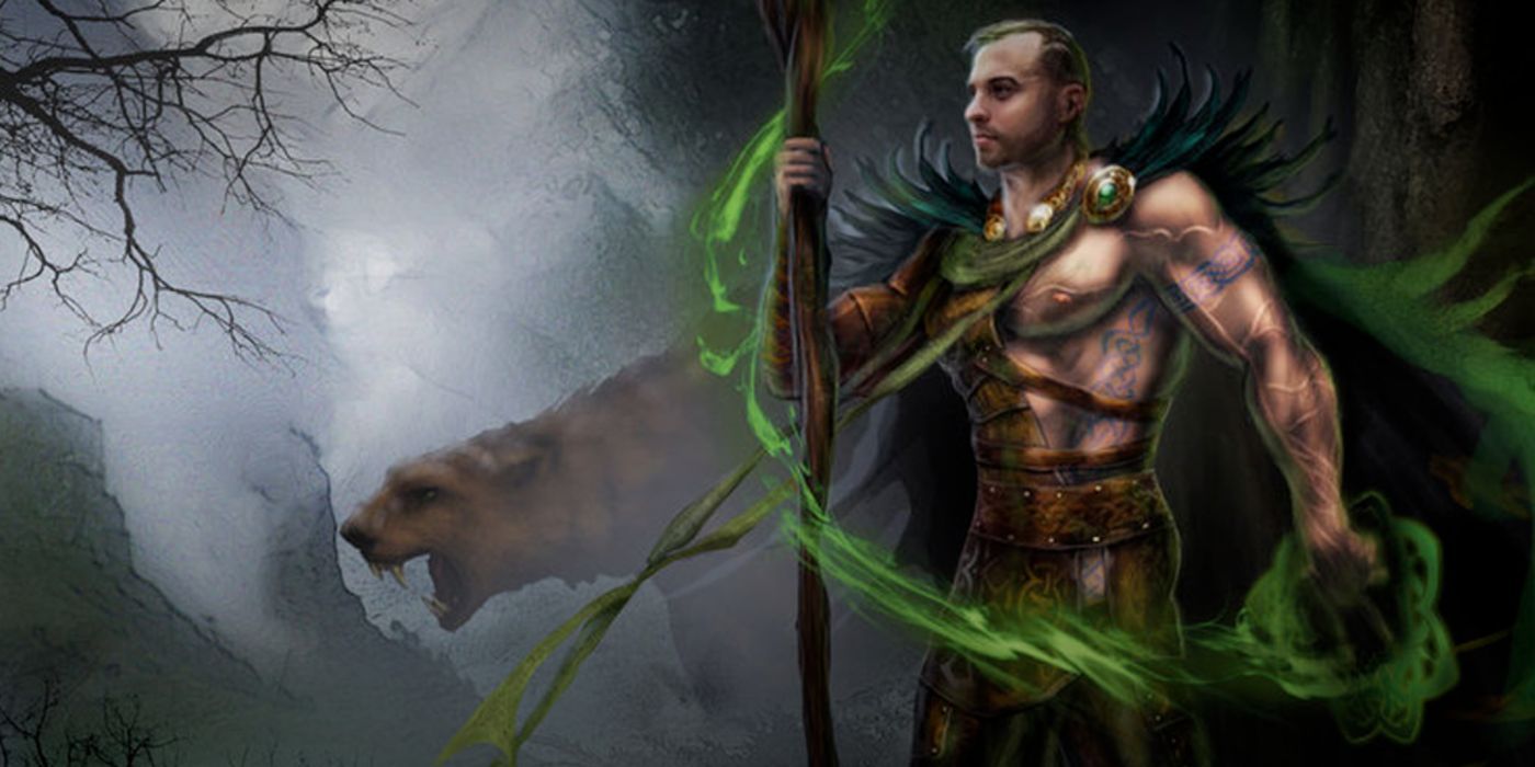 Diablo 2 Resurrected Druid And Bear Companion Artwork