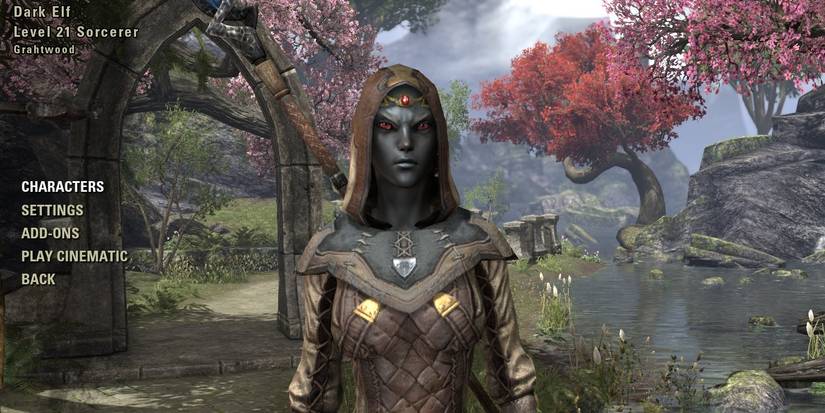 Dark Elf From The Elder Scrolls Online