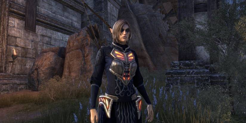 Wood Elf Rogue From The Elder Scrolls Online