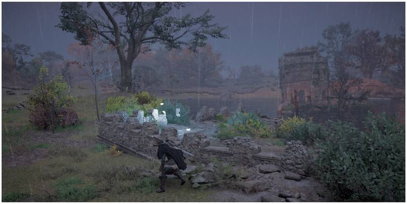 Edmond's Hope - Animus Anomaly