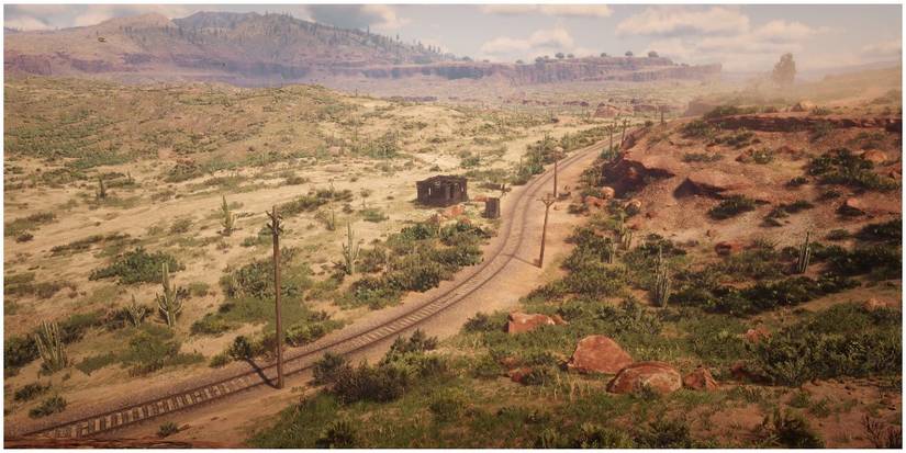 A view of Mercer Station from the cliffs