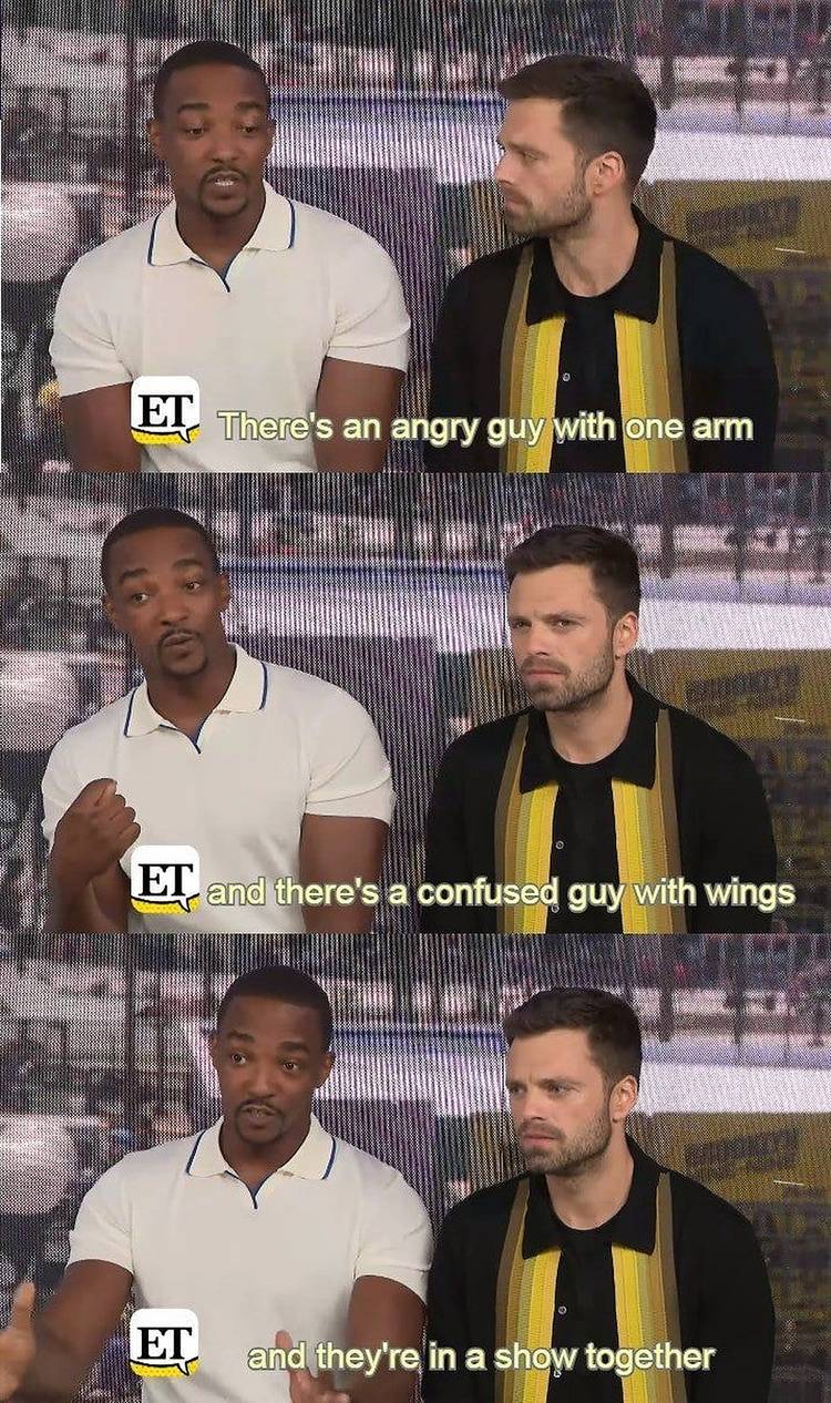 Falcon Winter Soldier Meme