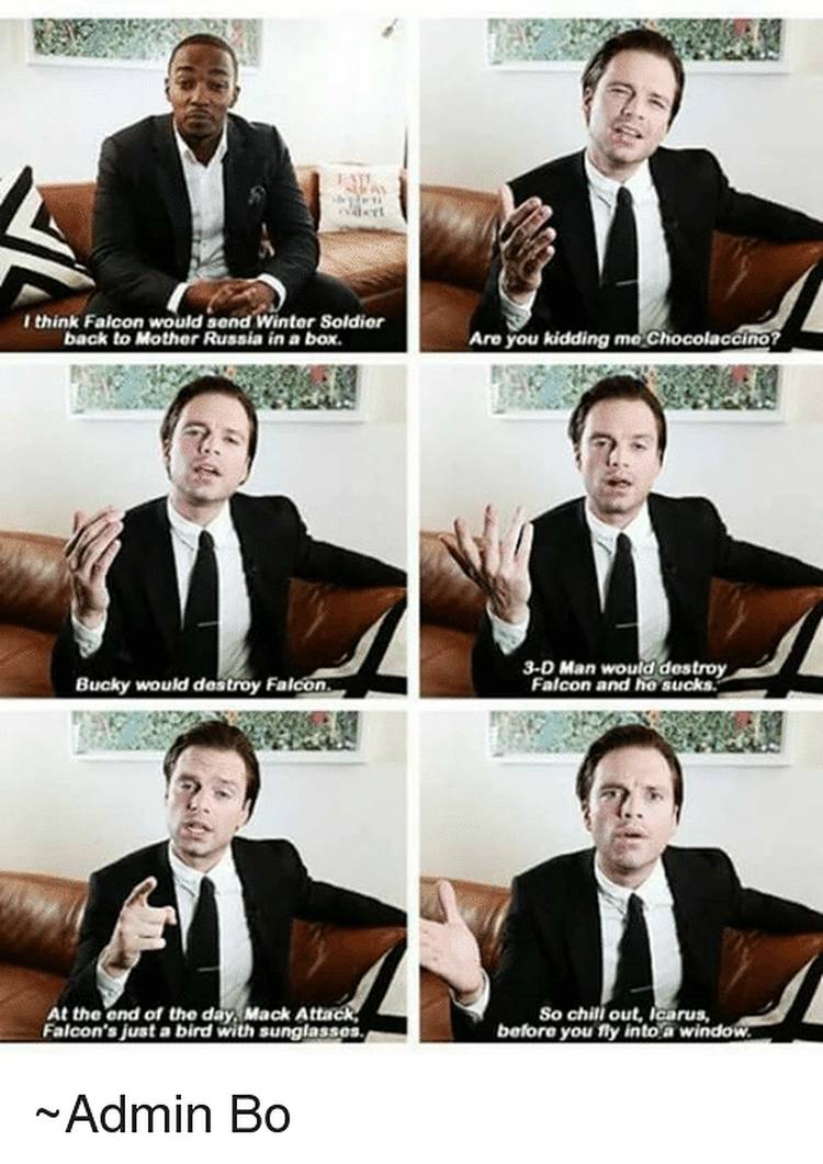 Falcon Winter Soldier Meme