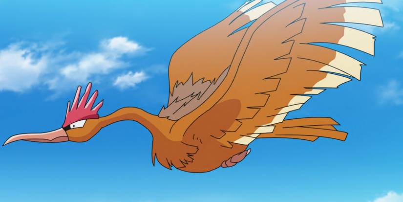 Fearow in the Pokemon anime