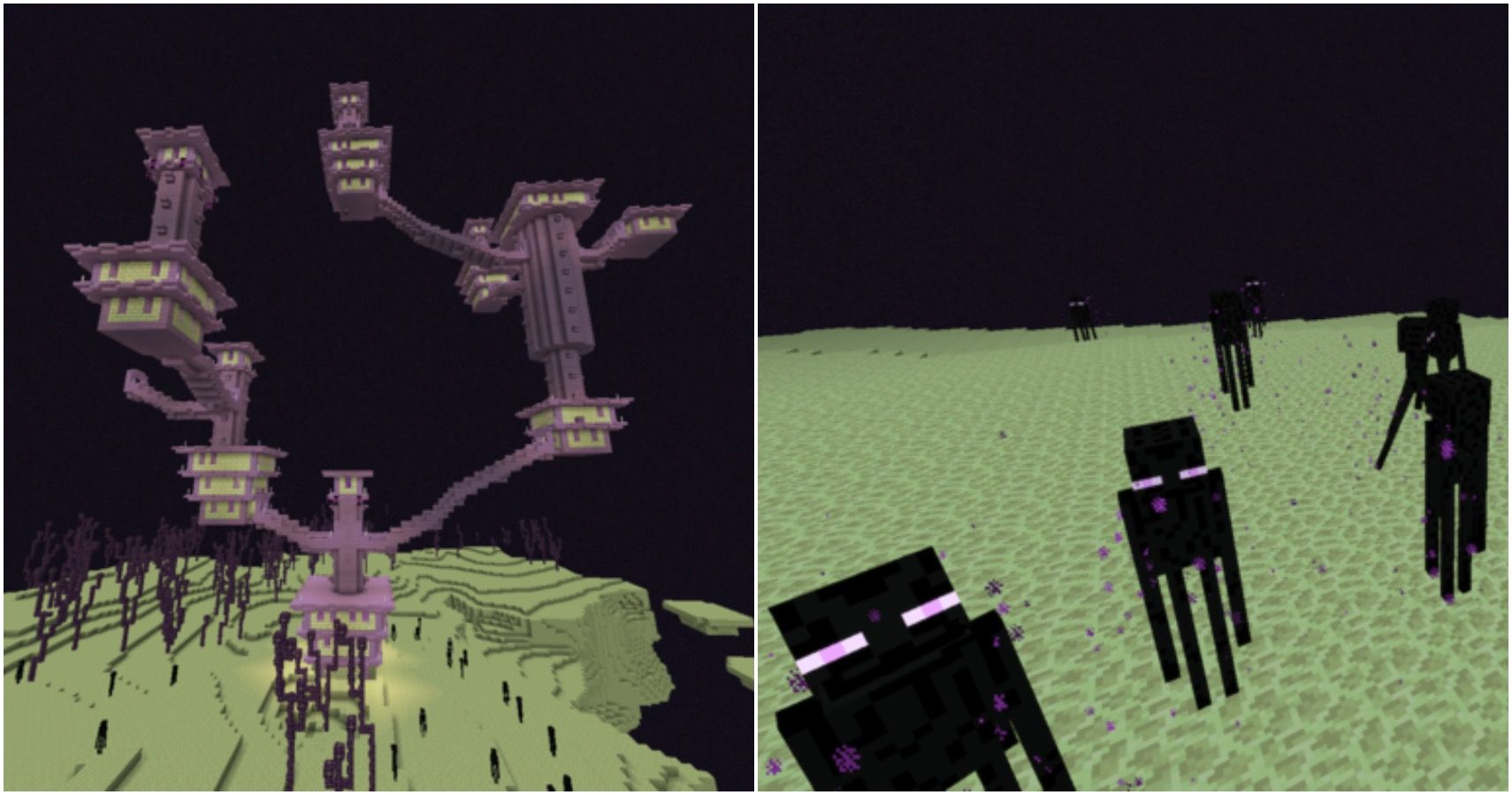 Minecraft: 10 Things You Didn't Know About The Ender Dragon