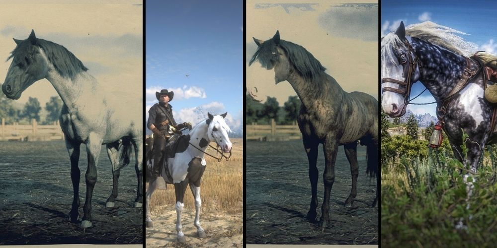 Red Dead Online The High-Class Missouri Fox Trotters Collage