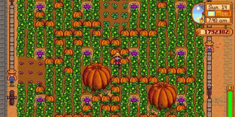 Giant Pumpkin Farm Stardew Valley Best Crops To Make Money