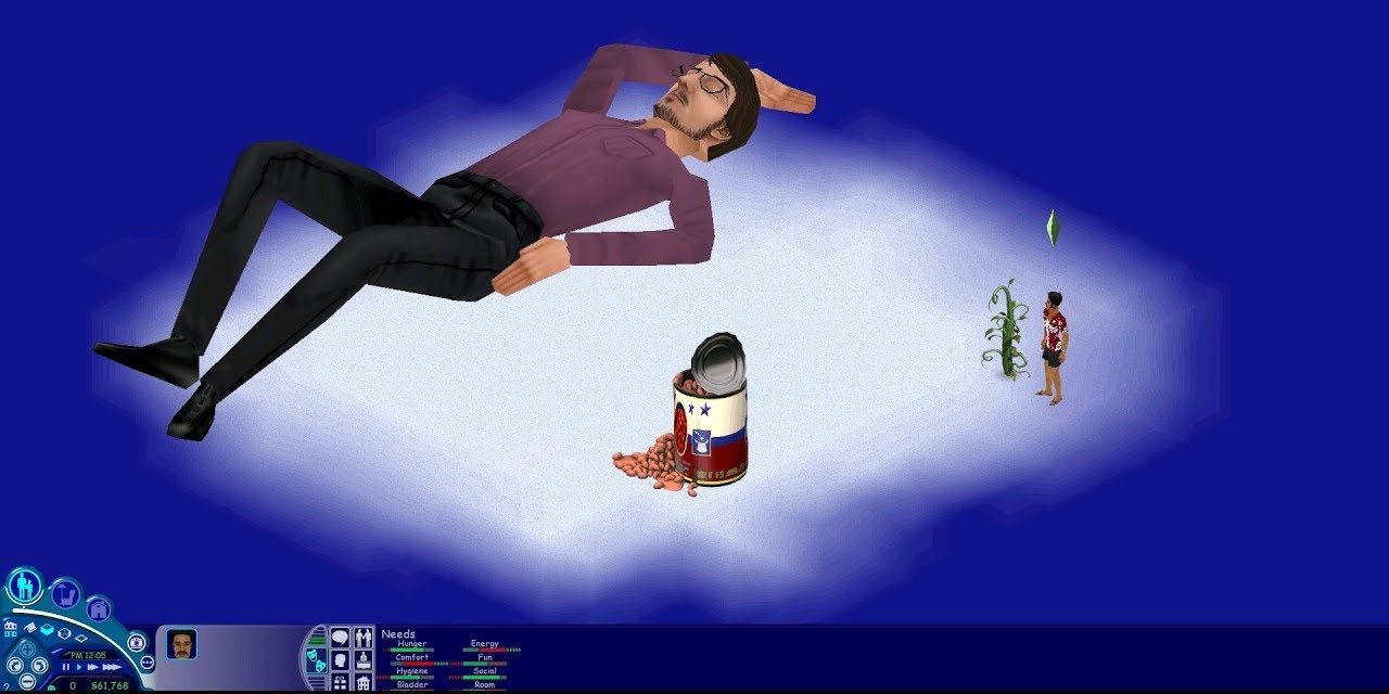 Will Wright Easter Egg From The Sims 1