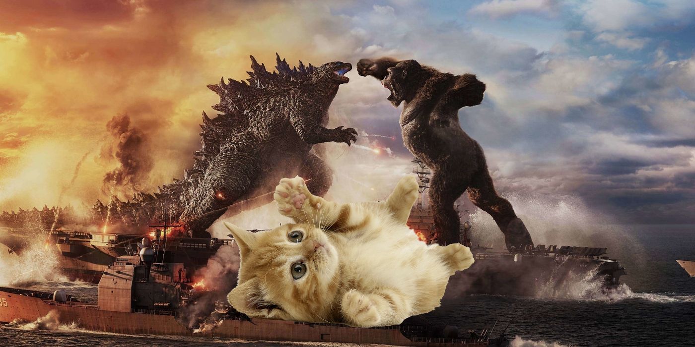 Godzilla vs. Kong Are No Match For a Cat in this fan-made creation