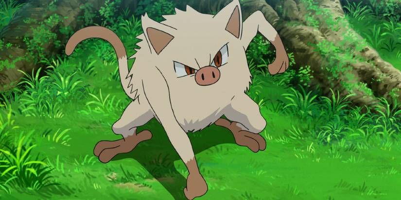 Mankey in the pokemon anime