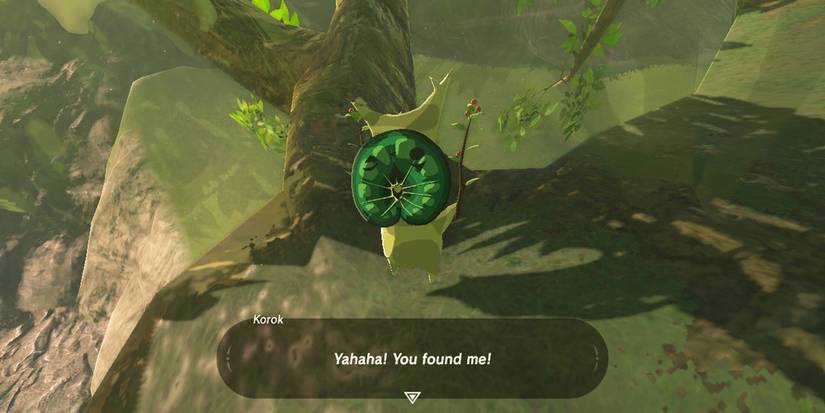 discovered korok - Breath of the Wild