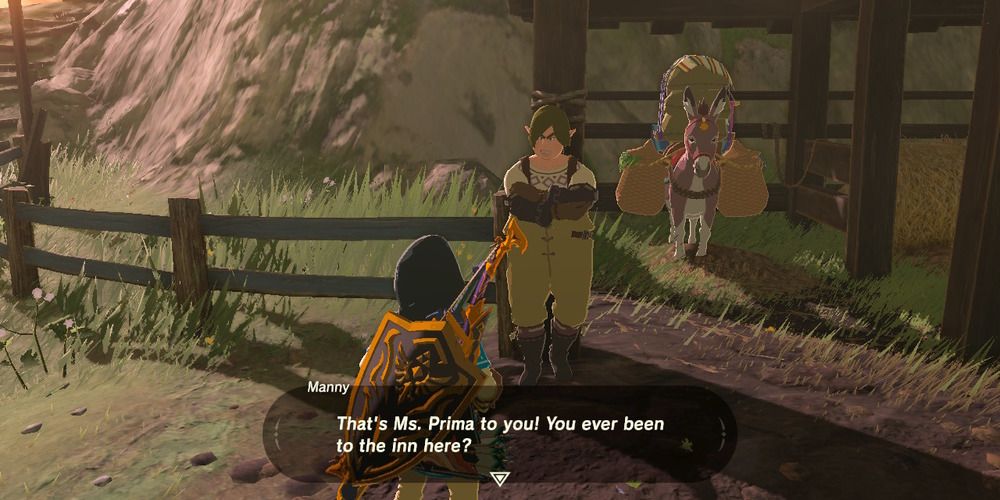 Talking to Manny in Breath of the Wild
