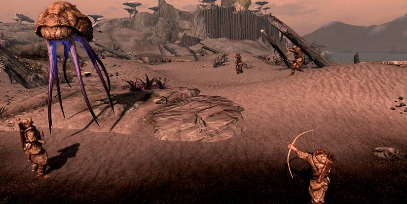 Skaal hunters fighting a netch