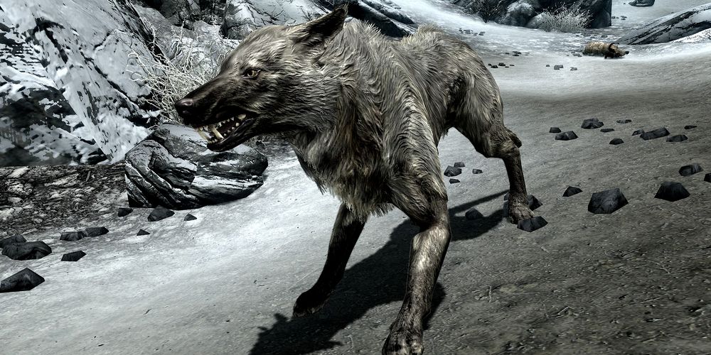 an ice wolf in Skyrim