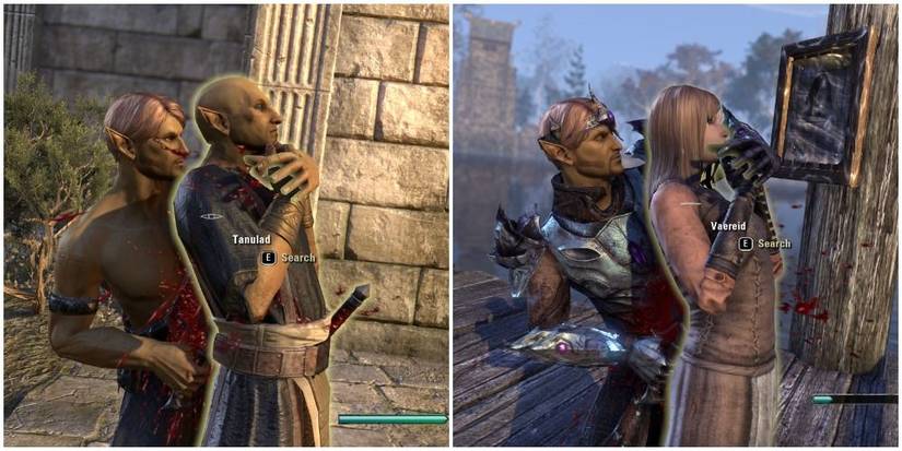 Innocent NPC Character Kill Elder Scrolls Online Tips Guide Beginner