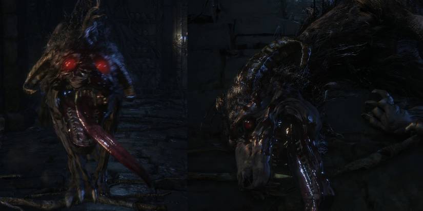 Keeper's Hunting Dog from Bloodborne