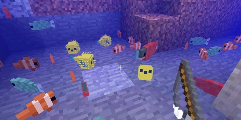 Minecraft Fish