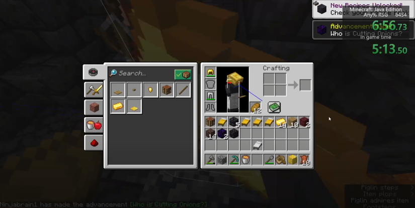 Minecraft Ninjabrain1's speedrun