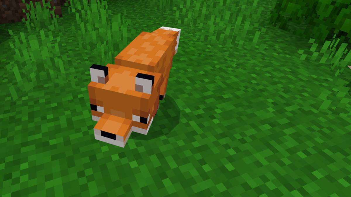 minecraft how to tame a fox